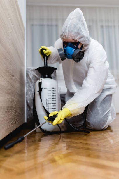 Best Real Estate Pest Inspections  in Clemmons, NC